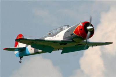 WP YAK 11